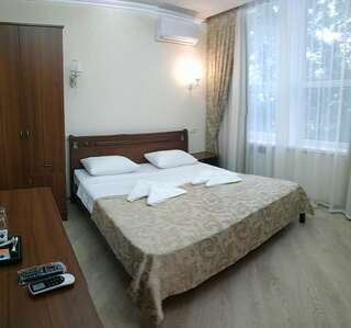 Отель Olimp Tayirove Двухместный номер с 1 кроватью или 2 отдельными кроватями и балконом-1